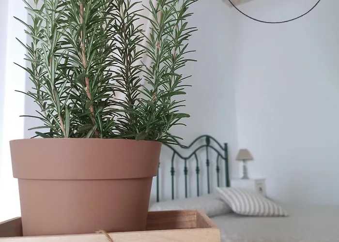 Ferienhaus Civico 8 Ostuni